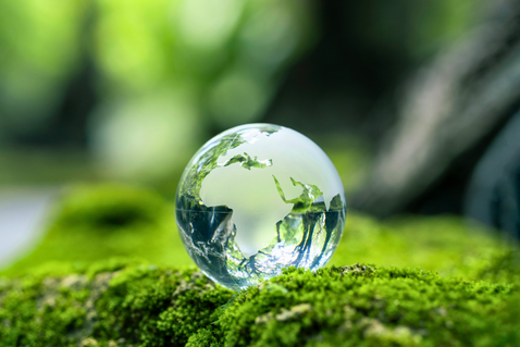 Operatori che lavorano alla manutenzione di un’area verde urbana